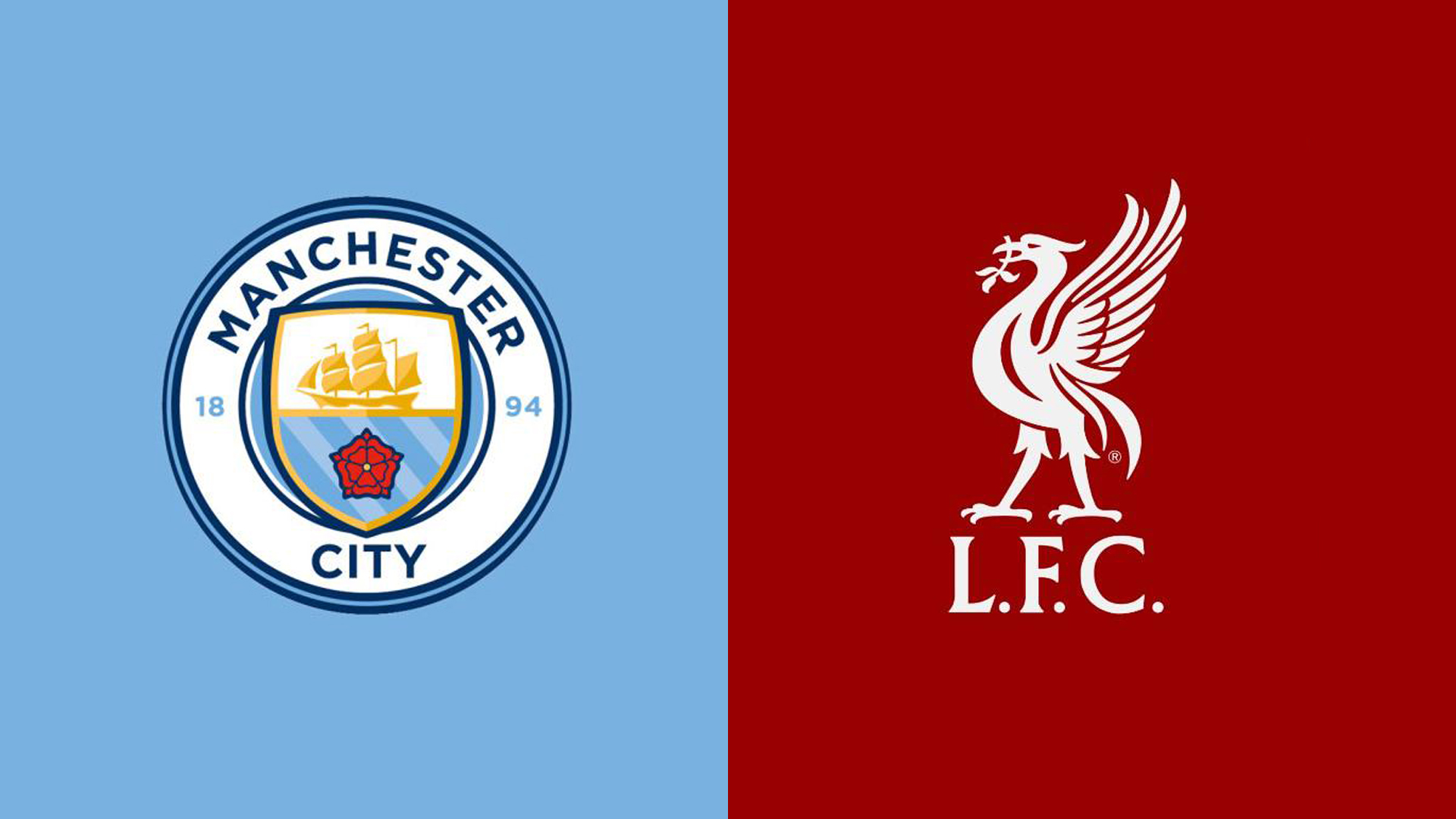 格子和小蜘 格子和小蜘